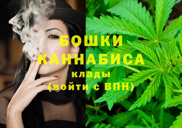 соль ск Мегион